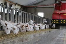 Triomatic T30, alimentación automática 