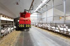 Triomatic T30, Alimentación Automatizada